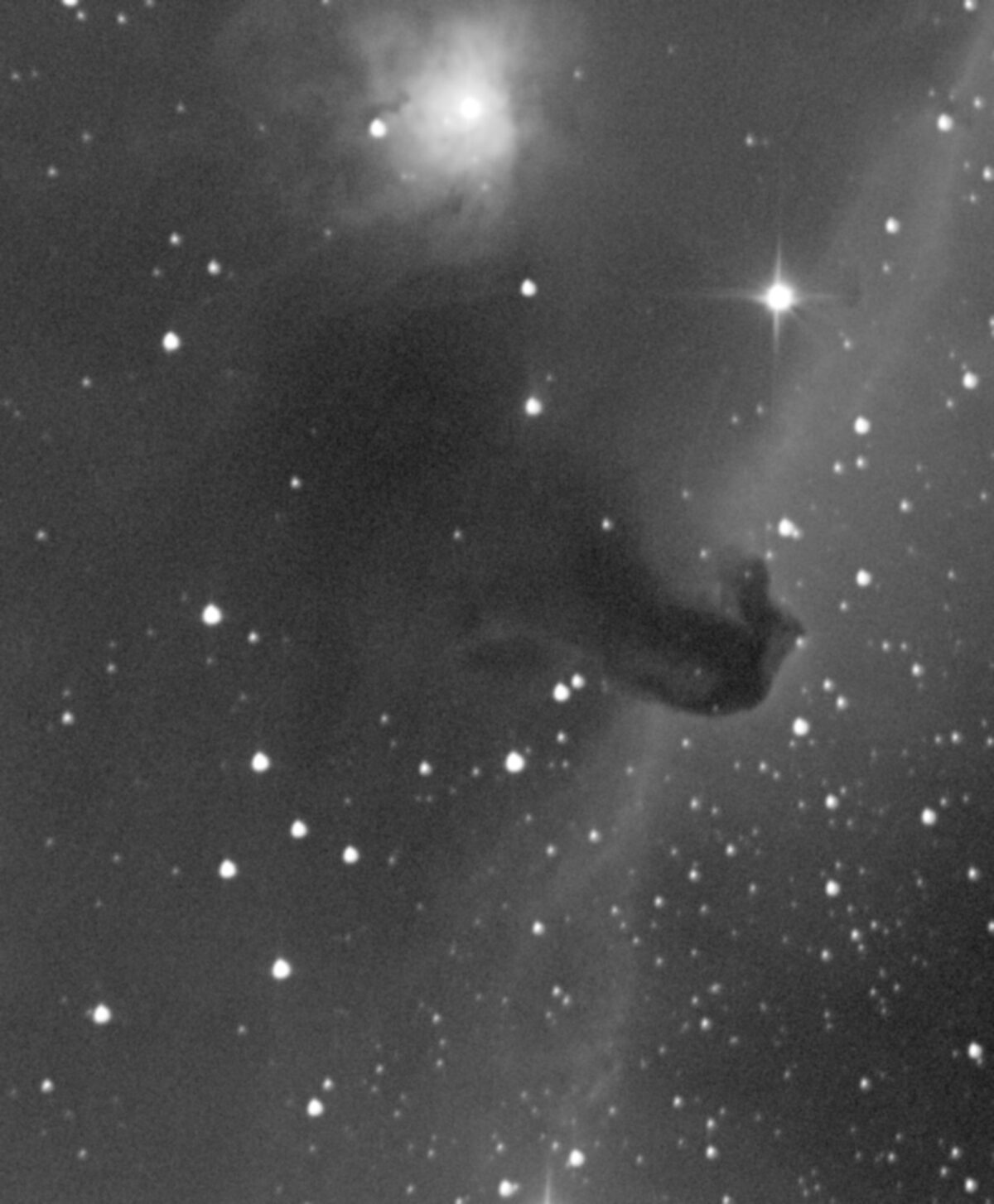 The Horsehead Nebula