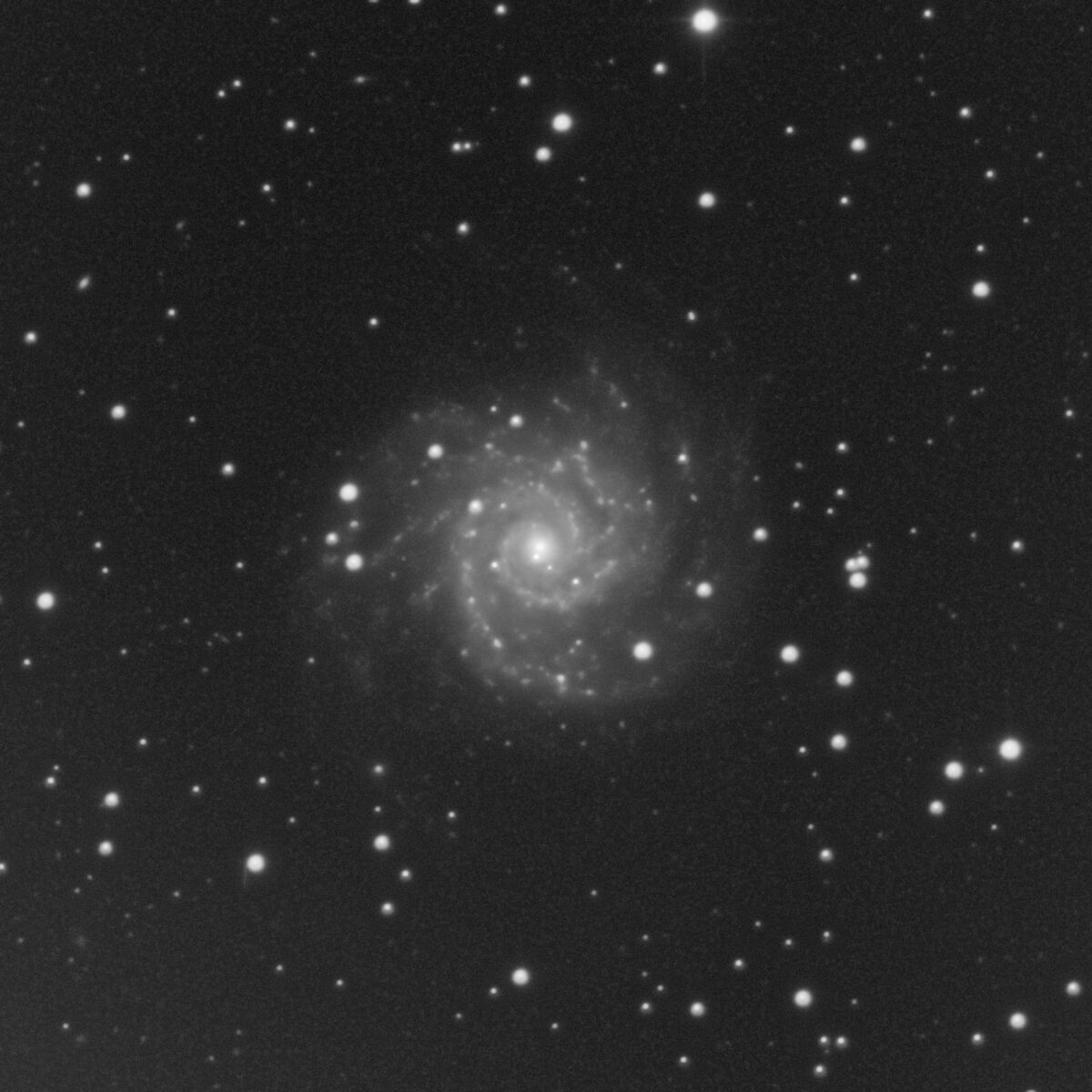 M 74