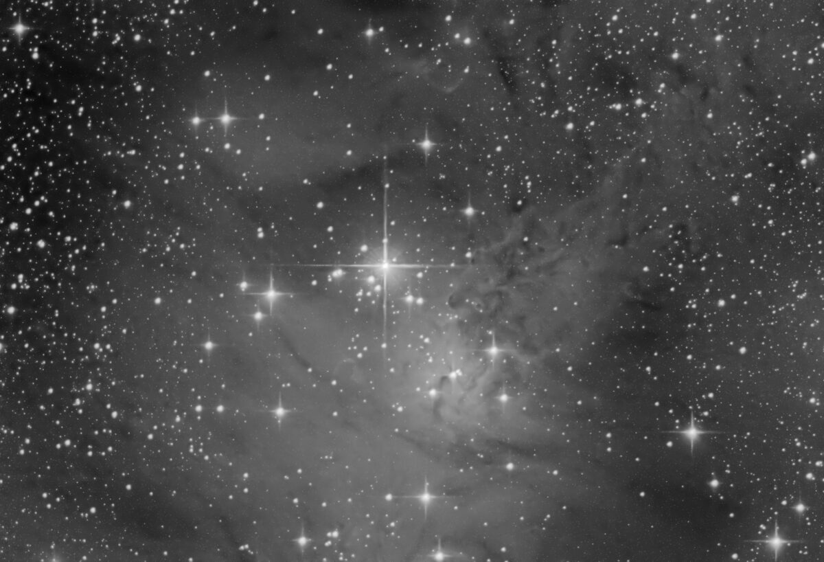 NGC 2264